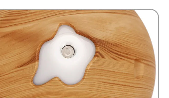 Aromatherapy Humidifier